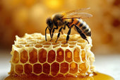 Benefits of Bee Balms: The Healing Power for Dry and Damaged Skin