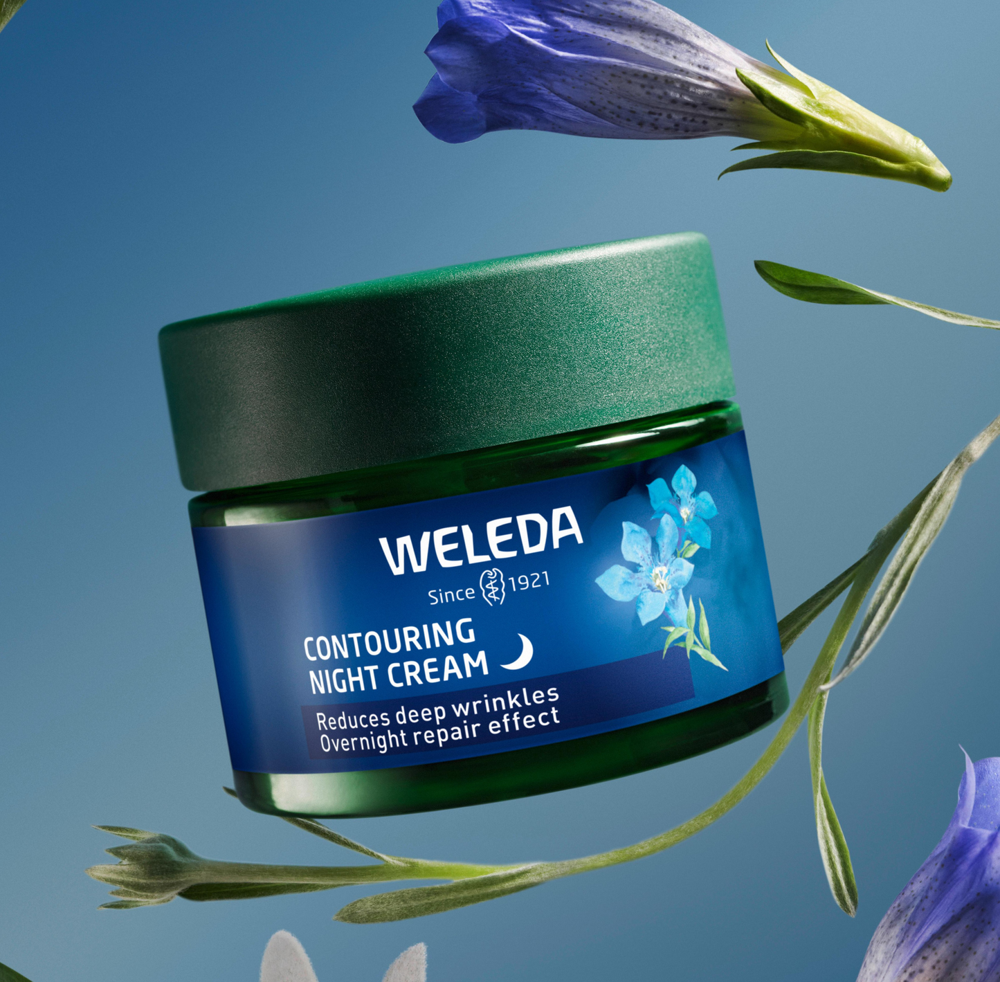 Contouring Night Cream – Blue Gentian & Edelweiss | Overnight Firming & Hydration