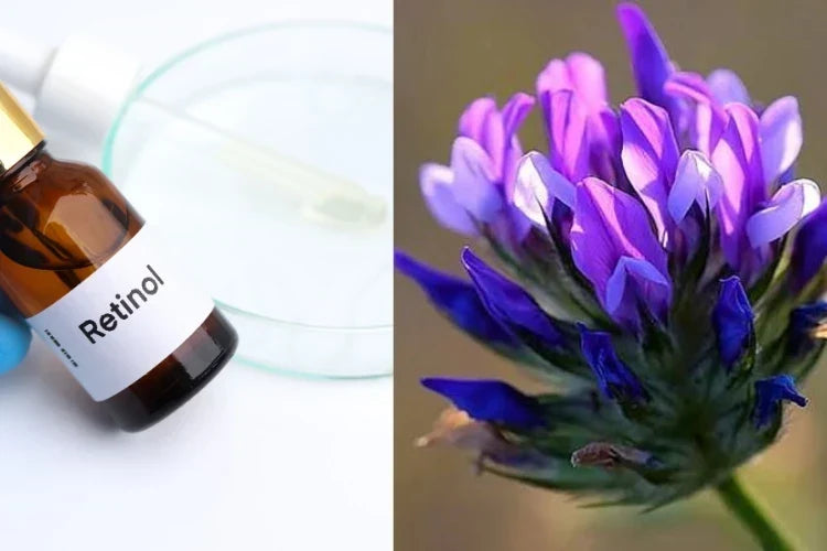 Bakuchiol vs Retinol 