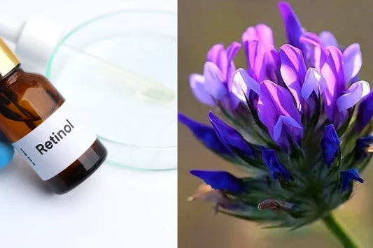 Bakuchiol vs Retinol 