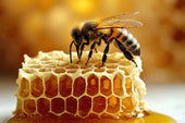 Benefits of Bee Balms: The Healing Power for Dry and Damaged Skin