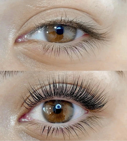 Lash Lift Kit – Honest Hair & Co.