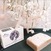 hyperpigmentation soap to fade sun spots